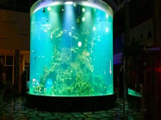 хятад хямд хямд супер том дугуй pmma шилэн аквариум нь тодорхой цилиндртэй нийлэг загасны сав