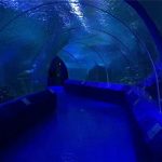 180 буюу 90 аквариум туннелийн нийлэг самбар