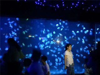 2018 нийлэг медуз аквариум сав шил