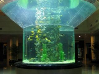 pmma шилэн аквариум хагас цилиндртэй perspex тодорхой загасны сав