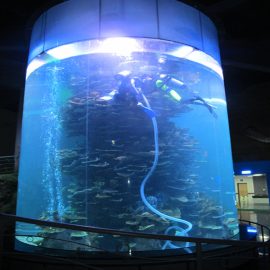 аквариум цилиндртэй том загасны савыг аквариум буюу далайн паркийн зориулалтаар ашигладаг
