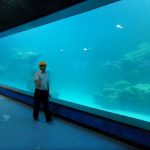 Аквариум, далайн аквариумд хана нь хэт ягаан туяаны нийлэг самбарыг тавьдаг