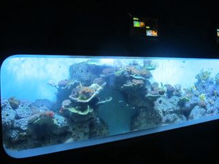 Хиймэл цутгамал нийлэг цилиндр ил тод загасны аквариум / харах цонх