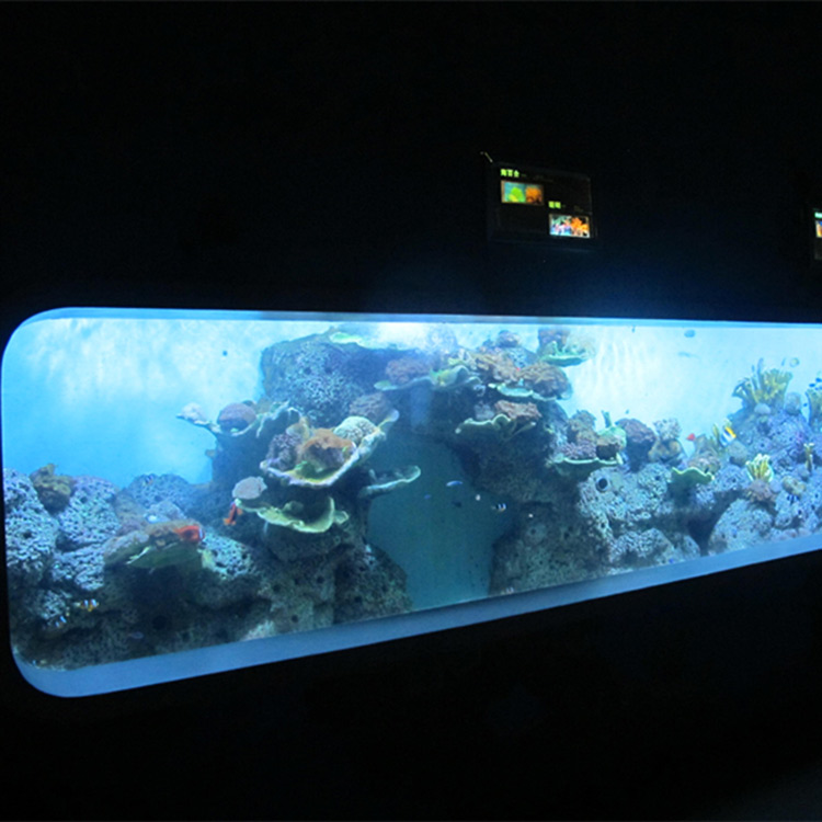 Хиймэл цутгамал нийлэг цилиндр ил тод загасны аквариум / харах цонх