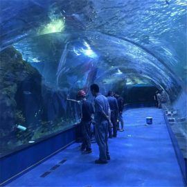 Нийтийн аквариум дахь нийлэг туннель далайн театр төсөл