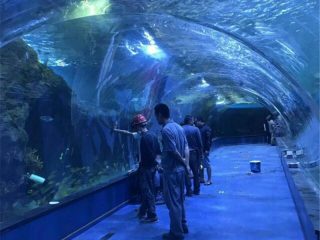 Нийтийн аквариум дахь нийлэг туннель далайн театр төсөл
