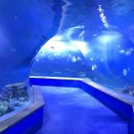 РМАМА тунгалаг аквариум Том хуванцар туннель