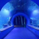 Өөр өөр хэлбэрийн өндөр тодорхой том нийлэг туннель аквариум