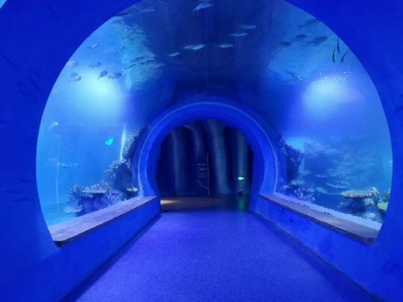 Өөр өөр хэлбэрийн өндөр тодорхой том нийлэг туннель аквариум