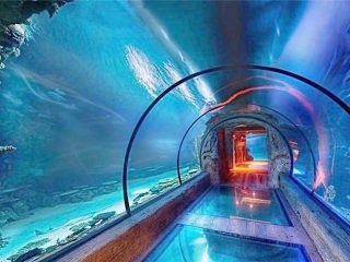 Орчин үеийн дизайн нийлэг аквариум урт туннель