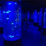 нийлэг медуз аквариум сав шил