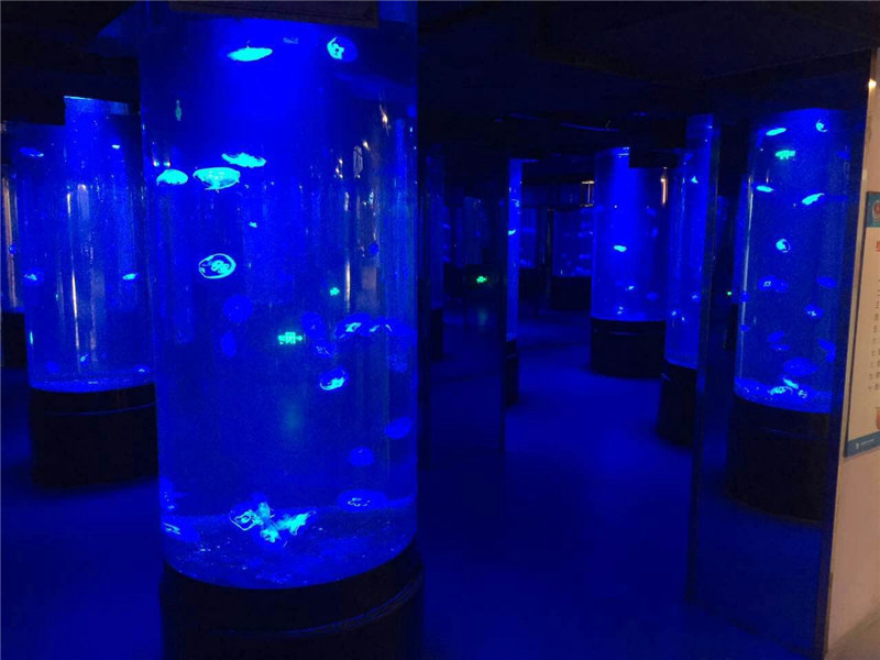 нийлэг медуз аквариум сав шил