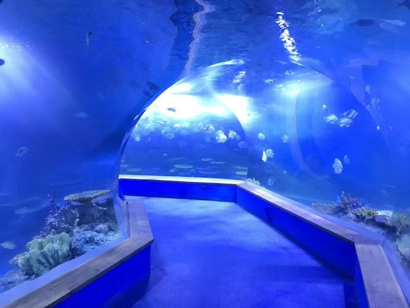 ил тод нийлэг шилэн туннель аквариум